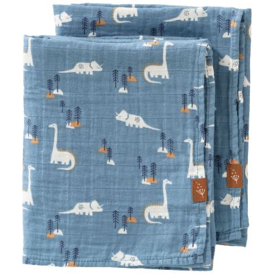Lot de 2 langes Dino (70 x 60 cm)