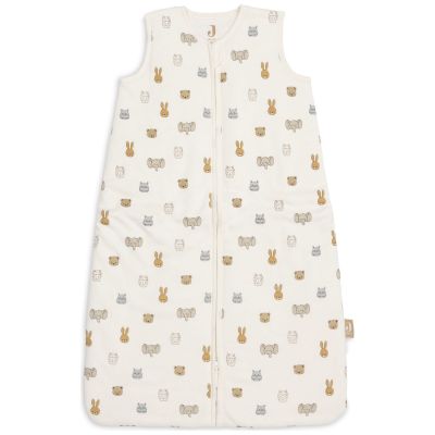 Gigoteuse chaude en jersey Jollies TOG 2,5 (6-18 mois) Jollein