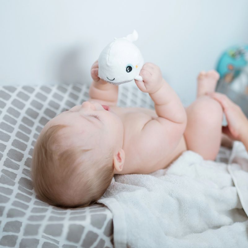 Image d'ambiance de présentation du produit Hochet peluche lumineux baleine Shakie - Pabobo