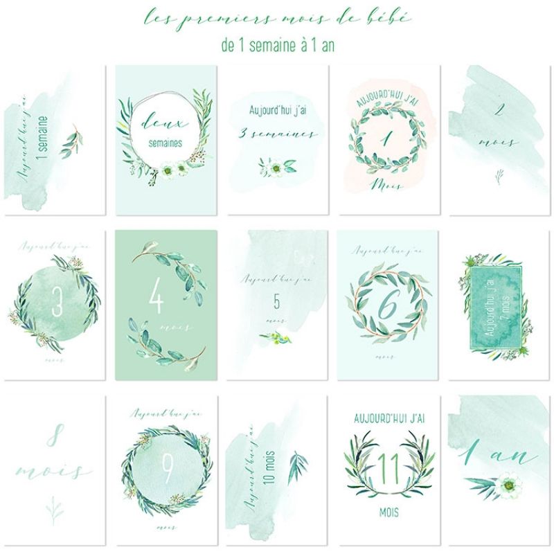 Cartes photos souvenirs mint (15 cartes) Spiritus Naturae