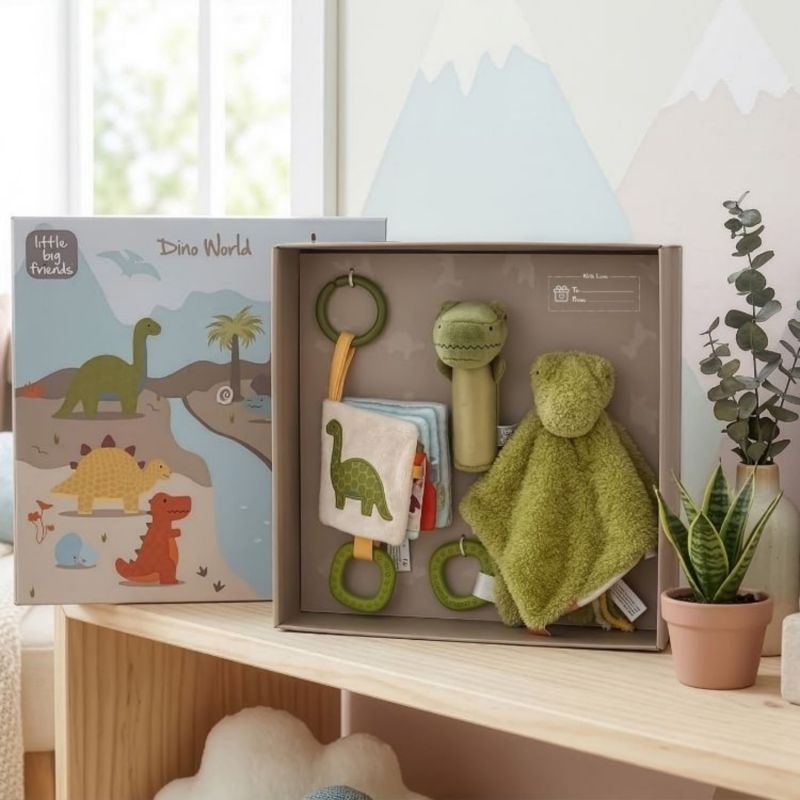 Coffret d'éveil Les Amis Dinos Little Big Friends Ambiance 6