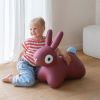 Ballon sauteur Hoppi Lapin Bordeaux Quut Ambiance 5