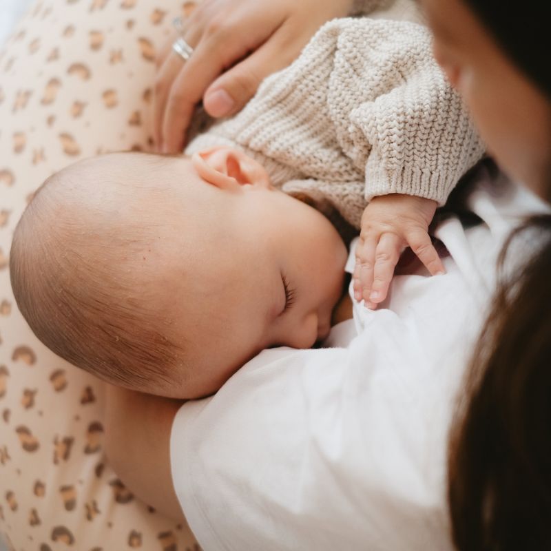 Coussin de maternité jersey Léopard Candide Ambiance 8