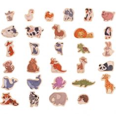 Animaux magnétiques (30 pièces) - Hape