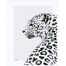 Affiche encadrée le léopard (30 x 40 cm)  par Lilipinso