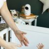 Ecoute bébé Zen+2 Blanc Béaba Ambiance 7