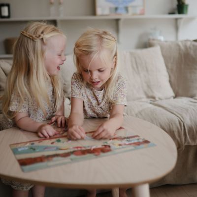 Autocollants réutilisables Sticker Book Dino