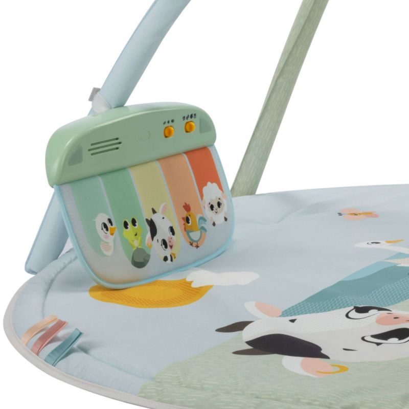 Tapis d'éveil Dynamic Gymini Farmers Tiny Love Produit 4