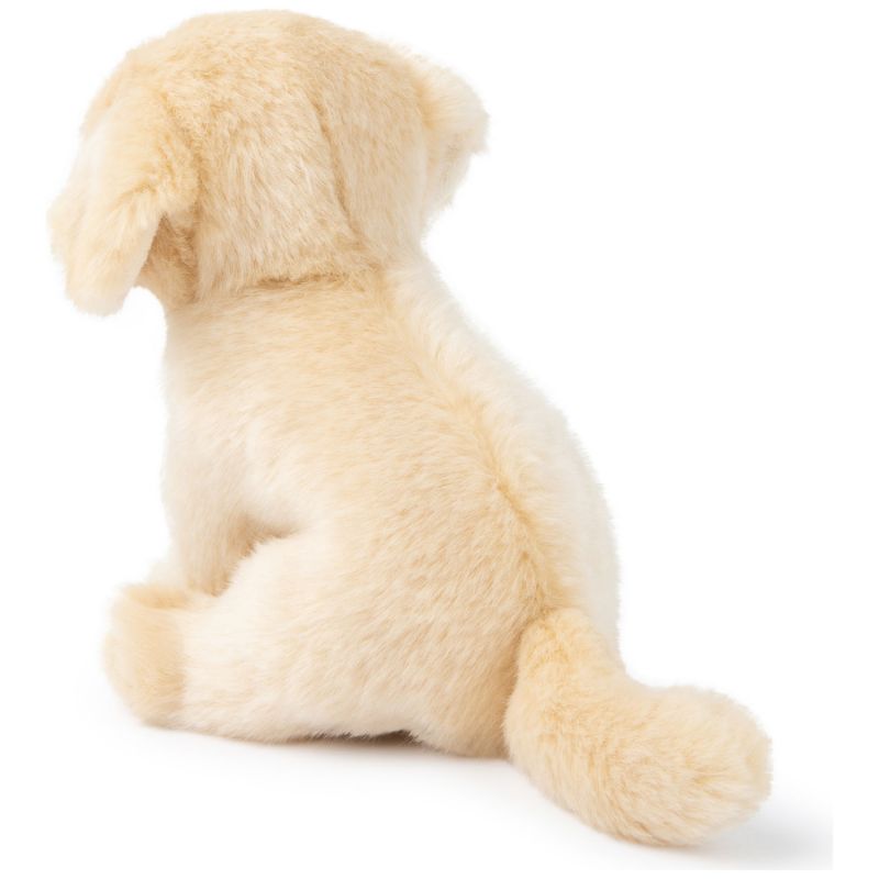 Peluche Loulou le Labrador (20 cm) BT Chaps Produit 3