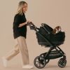 Siège auto et caisse de transport pour animaux de compagnie MAEVE ISO6X ONYX avec système Isofix Tavo Ambiance 1
