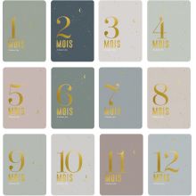 Cartes étapes 1ère année de bébé Céleste (15 cartes) - Reconditionné  par Zakuw