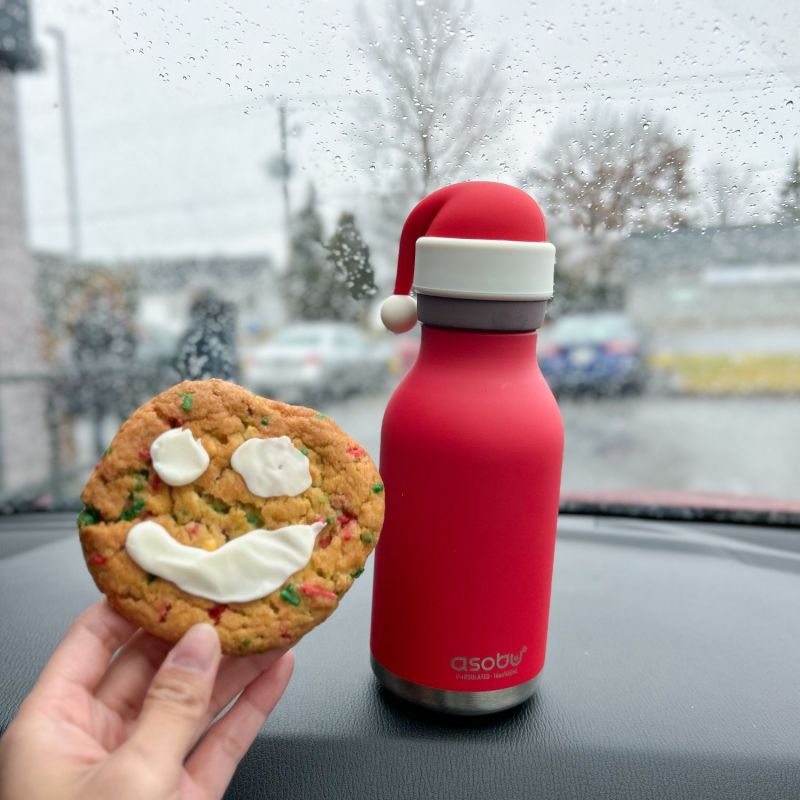 Gourde isotherme Bestie Père Noël (460 ml) Asobu Ambiance 2