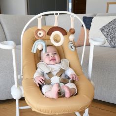 Arche de jeux pour transat Up & Down Plus