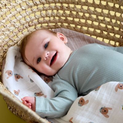 Lot de 3 langes mousseline GOTS Tiny Team Chien (60x60 cm)