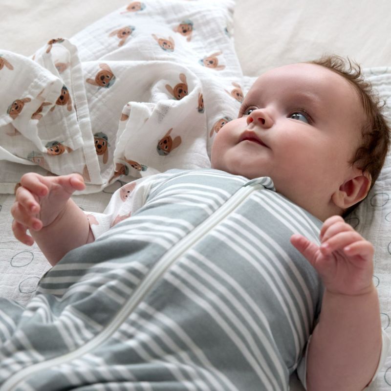 Lot de 3 langes mousseline GOTS Tiny Team Chien (60x60 cm) Lässig Ambiance 8