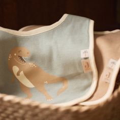 Lot de 5 bavoirs imperméables Roarsome