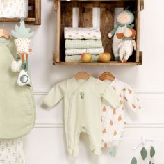 Pyjama chaud rayures vertes Botanica (naissance)