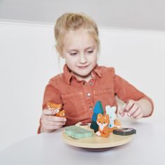 Jeu d'équilibre en bois Ecosystème WWF