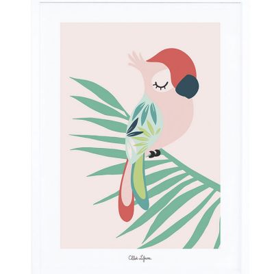 Affiche encadrée perroquet rose (30 x 40 cm)  par Lilipinso