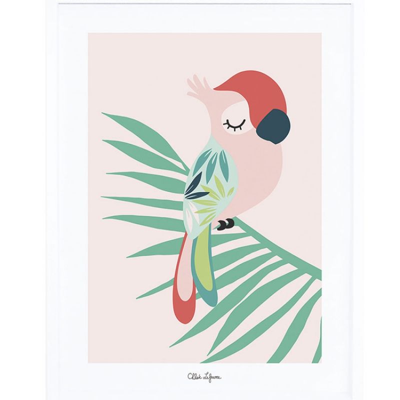 Affiche encadrée perroquet rose (30 x 40 cm) Lilipinso