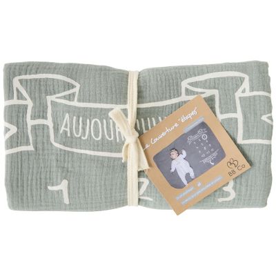 Couverture décor pour photos avec 2 accessoires rayé vert de gris