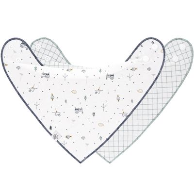 Lot de 2 bavoirs bandanas col bénitier bleu Garden Explorer Lässig