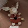 Hochet Petit Nuage Sauthon Ambiance 2