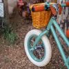 Draisienne First Go Forest Banwood Ambiance 4