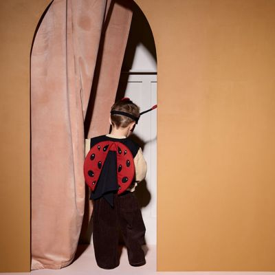 Déguisement Coccinelle Dress-up