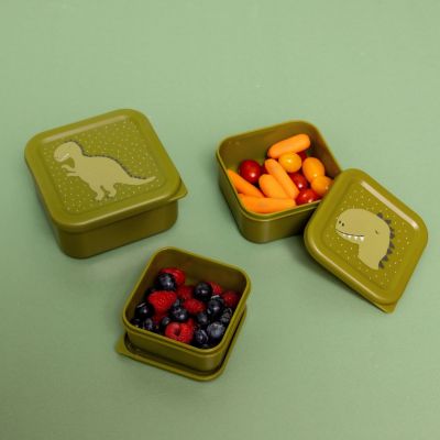 Lot de 3 boîtes à goûter Mr. Dino