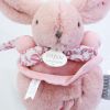 Peluche musicale Lapin Doudou rose (20 cm) Doudou et Compagnie Ambiance 6