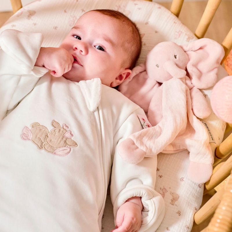 Mini doudou Fanfan l'éléphant Rose (25 cm) Nattou Ambiance 3