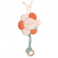 Peluche musicale Pretty Picnic - Jollein