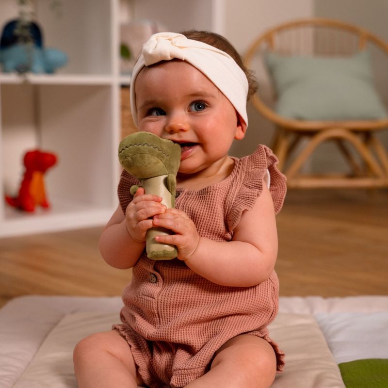 Hochet pouêt Rex le Tyrannosaure Little Big Friends Ambiance 2