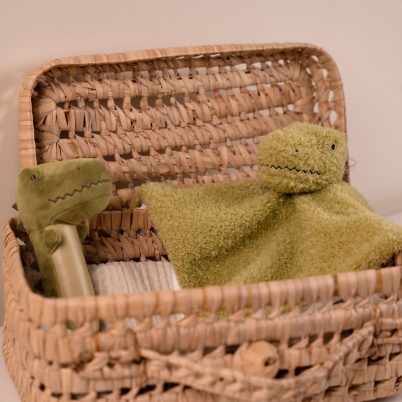 Hochet pouêt Rex le Tyrannosaure Little Big Friends Produit 8