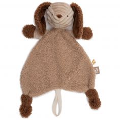 Doudou attache sucette Diego - Jollein