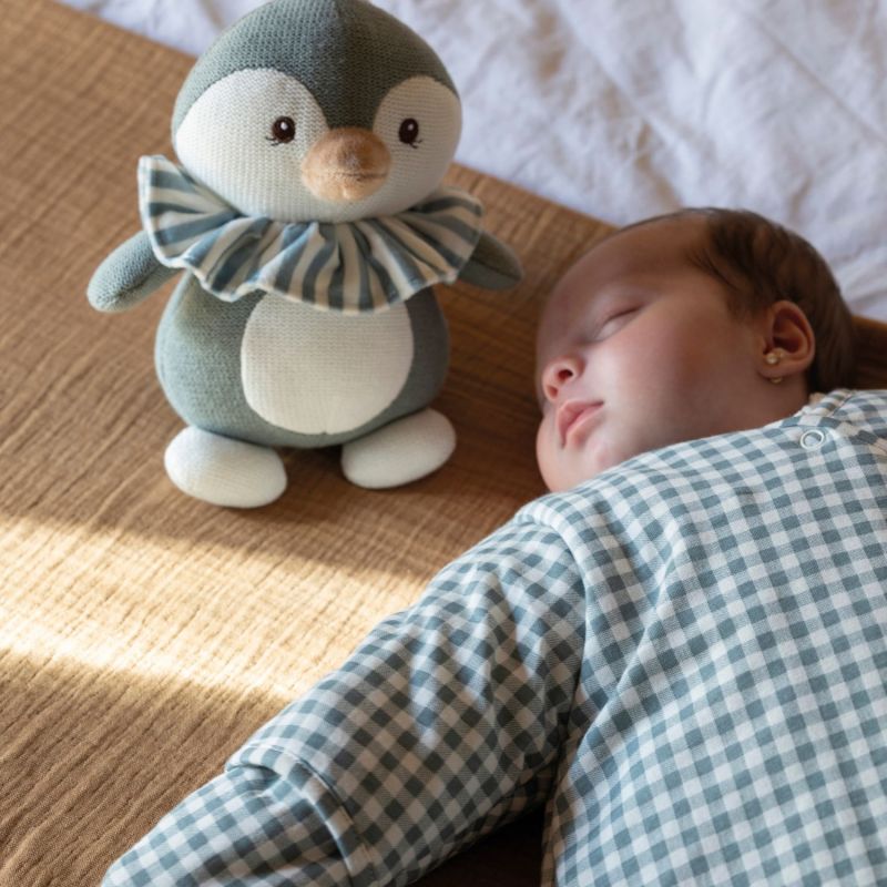 Peluche musicale Pingouin Praliné Matcha Walking Mum Ambiance 2