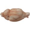 Porte-clé peluche Barbecue Conche de mer (8 cm) Bazuuyu Produit 4
