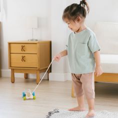 Lapin sautillant à tirer