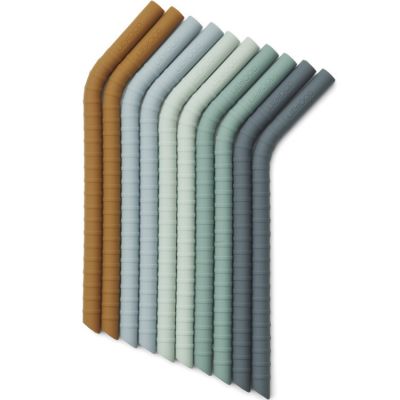 Lot de 10 pailles en silicone Jonas Dusty mint multi mix