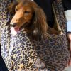 Sac de transport Animaux Camel Leopard Caramel & Cie Ambiance 2