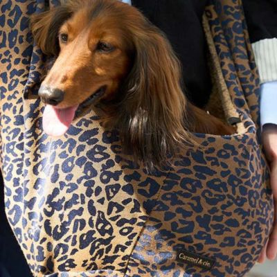 Sac de transport Animaux Camel Leopard