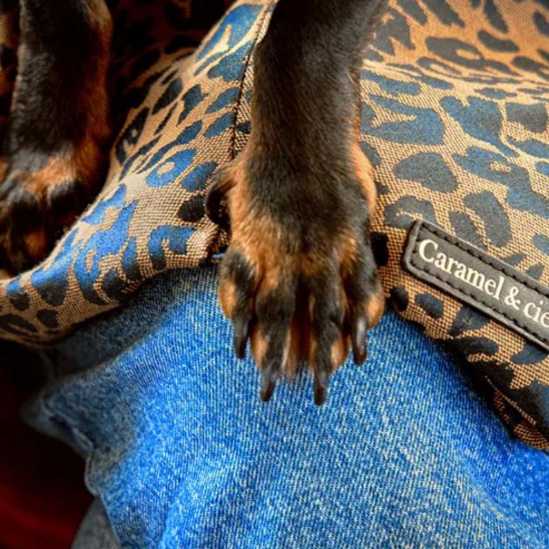 Sac de transport Animaux Camel Leopard Caramel & Cie Ambiance 5