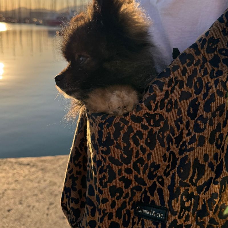 Sac de transport Animaux Camel Leopard Caramel & Cie Ambiance 6