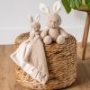 Doudou câlin Teddy Lapin Beige (27 cm) Nattou Ambiance 3