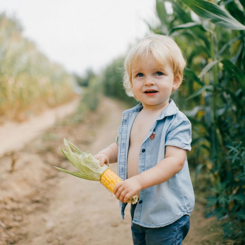 Set de 24 patchs anti-moustique naturel - Reconditionné Squitos Produit 6