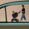 Siège auto et caisse de transport pour animaux de compagnie MAEVE ISO5X ONYX avec système Isofix Tavo Ambiance 9