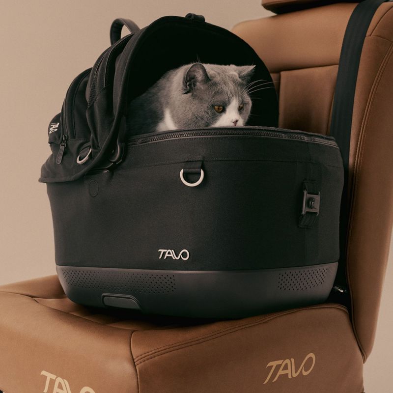 Siège auto et caisse de transport pour animaux de compagnie MAEVE ISO5X ONYX avec système Isofix Tavo Ambiance 8