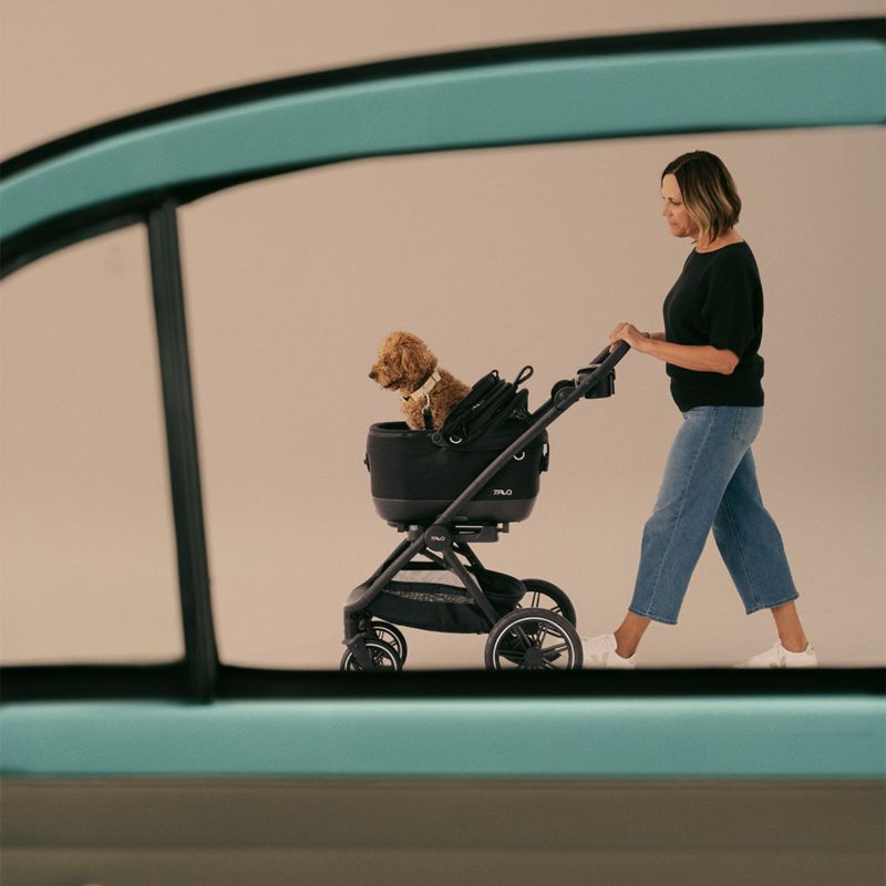 Siège auto et caisse de transport pour animaux de compagnie MAEVE ISO5X ONYX avec système Isofix Tavo Ambiance 9