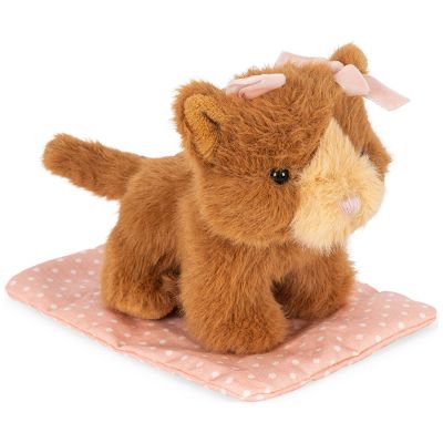 Peluche Chat et sa caisse